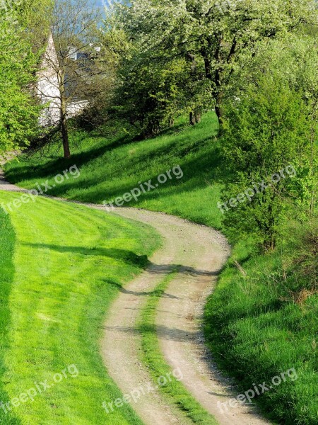 Field Trip Nature Trees Landscape Green