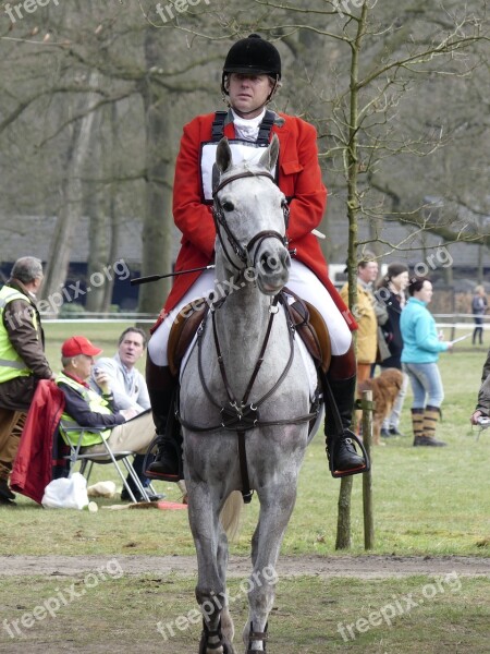 Horse Rider Fox Hunting Horses