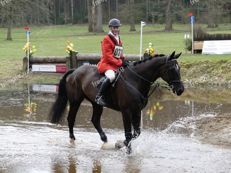 Horse Rider Fox Hunting Horses