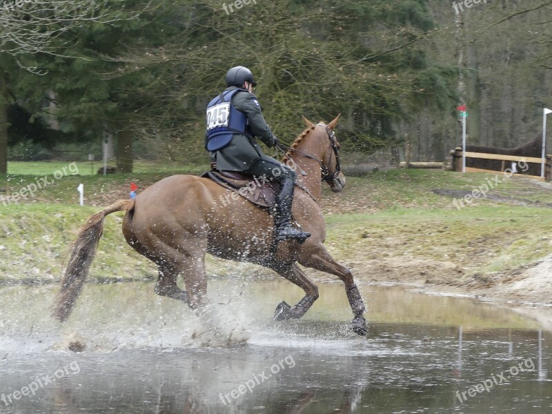 Horse Rider Fox Hunting Horses