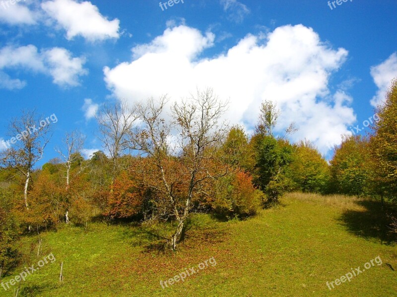 Mountain Ribaritsa Stara Planina Bulgaria Nature