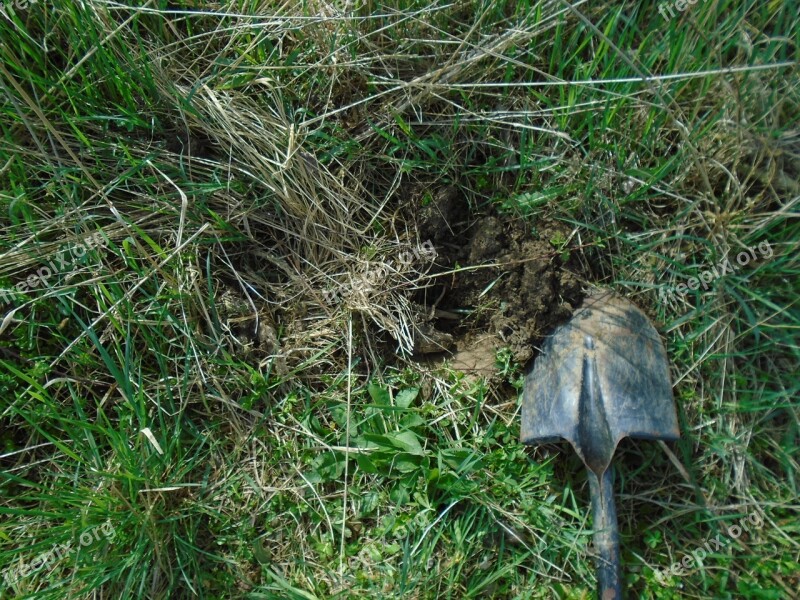 Spade Spring Work Grass Nature