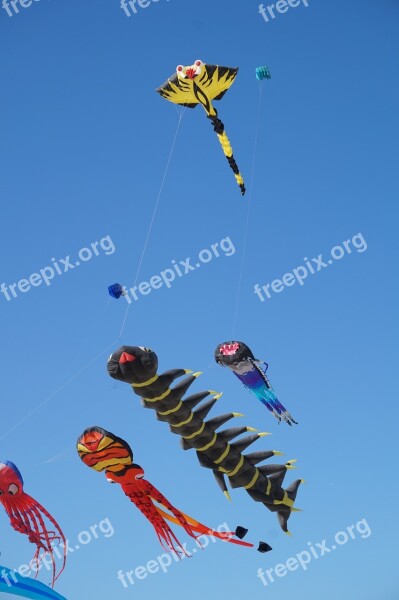 Kite Sky Wind Berck-plage Free Photos