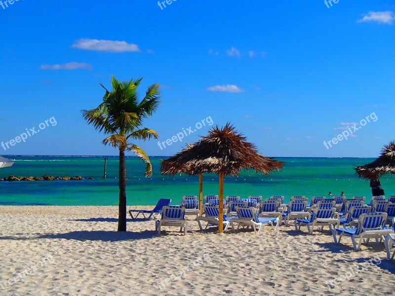 Palm Tree Tropical Vacation Beach