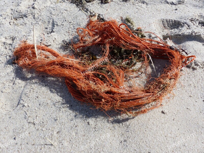 Flotsam Rope Sand Beach Summer