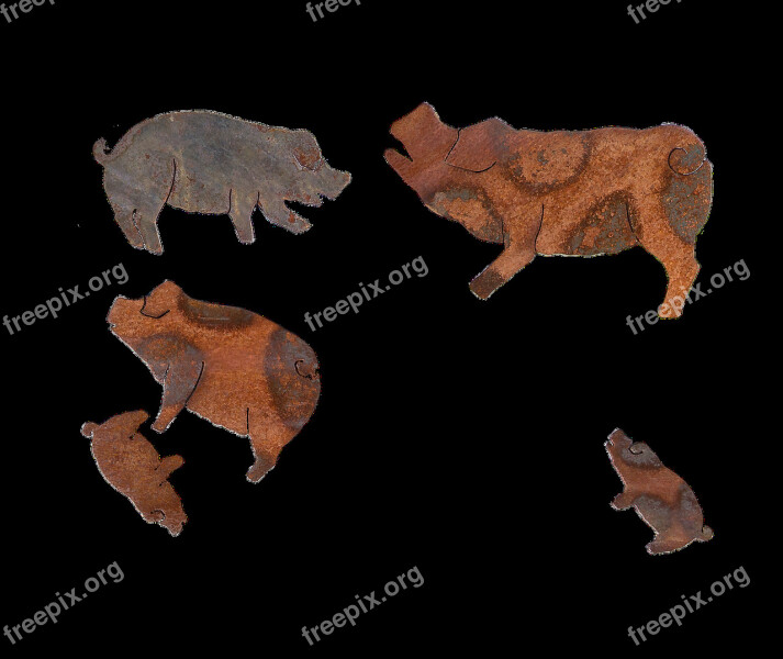 Pigs Metal Rusty Isolated Rust