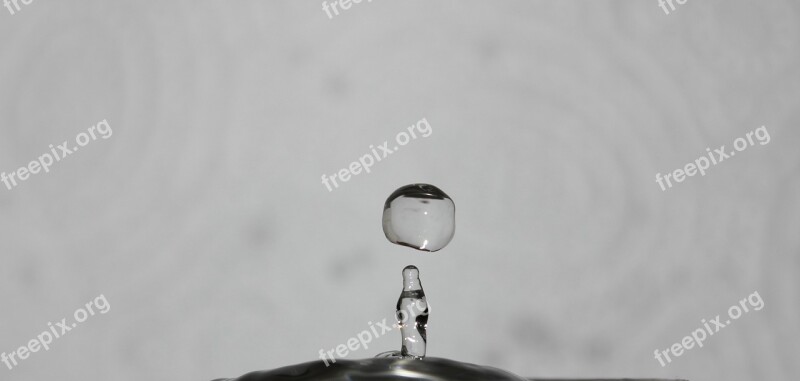 Water Drop Spetters Free Photos