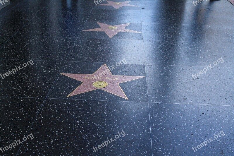 Walk Of Fame Hollywood Stars Star Hollywood Boulevard