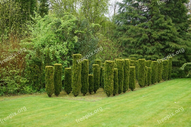 Boxwood Garden Size Bushes Carved Free Photos