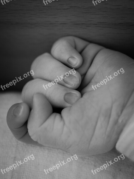 Baby Child Infant Birth Child's Hand