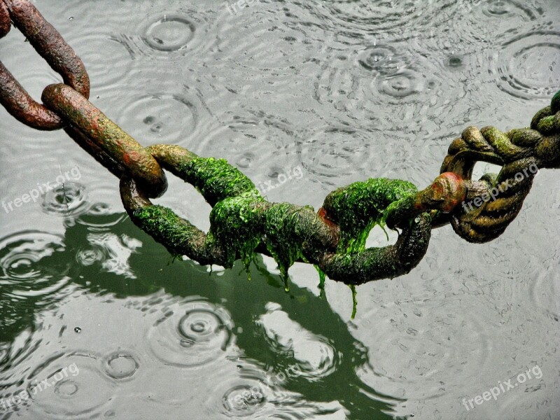 Chain Rope Port Water Rust