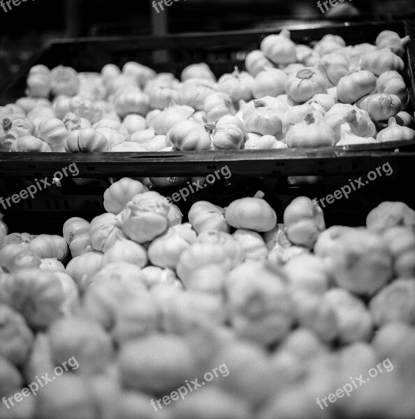 Garlic Market Food Organic Fresh