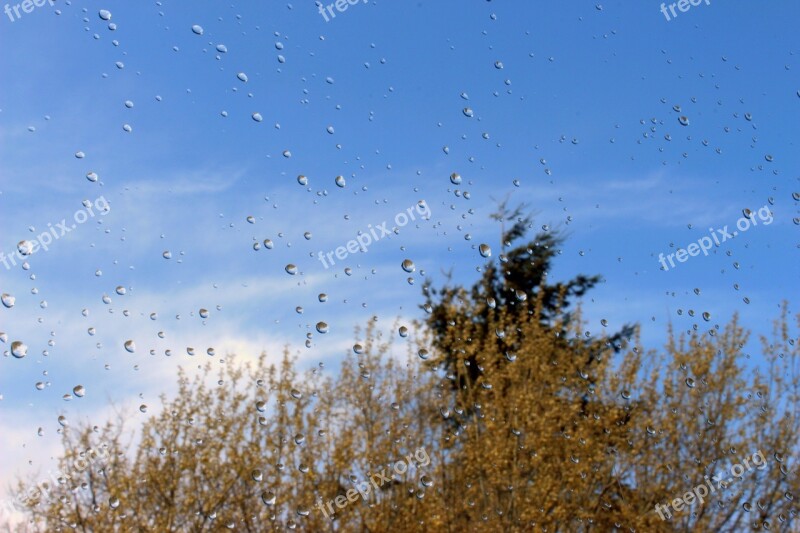 Rain Raindrop Window Pane Nature Drip