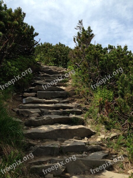 Mountains Beskids Hiking Trail Hiking Tourism