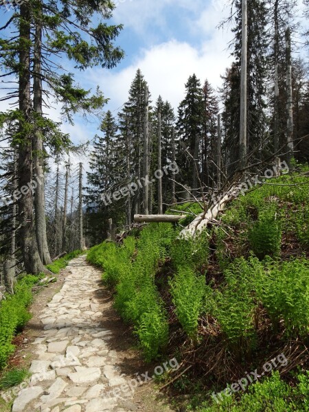 Mountains Beskids Hiking Landscape Way