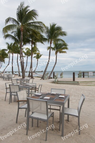 Key West Florida Palm Trees Vacation Beach