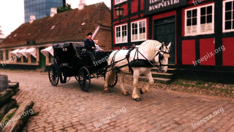 Carriage Horse Carridge Old Town Denmark Beautiful