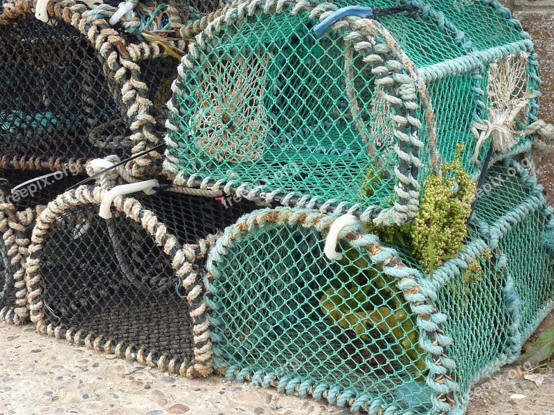 Lobster Baskets Fishing Fisherman Sea Fischhandel