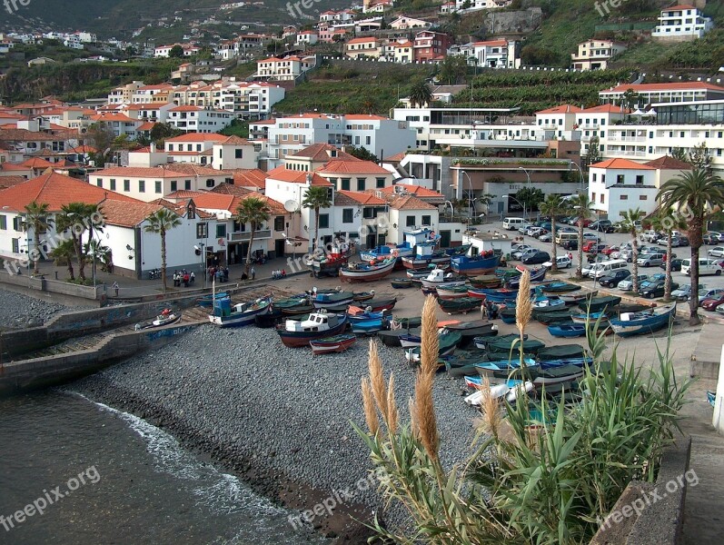 Câmara De Lobos Marina Madeira Free Photos