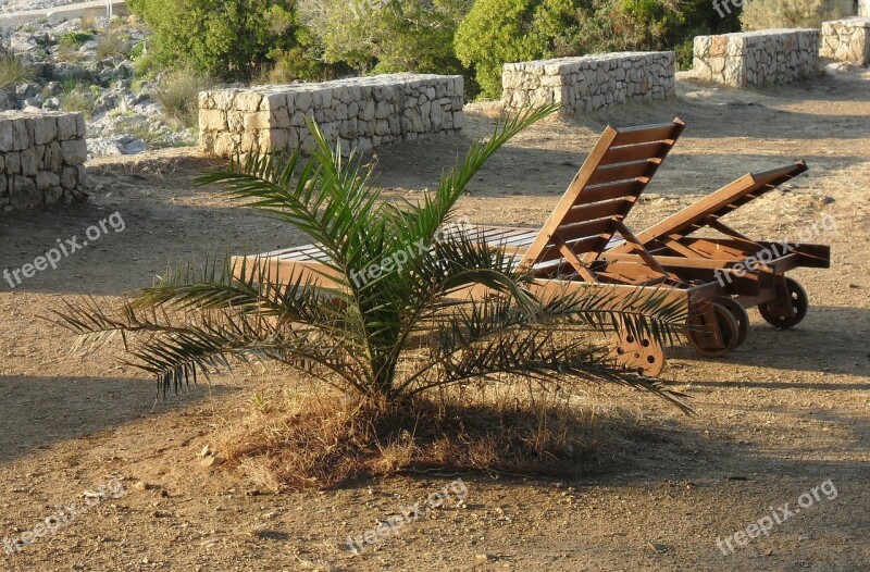 Sun Lounger Wood Palm Sun Relaxation