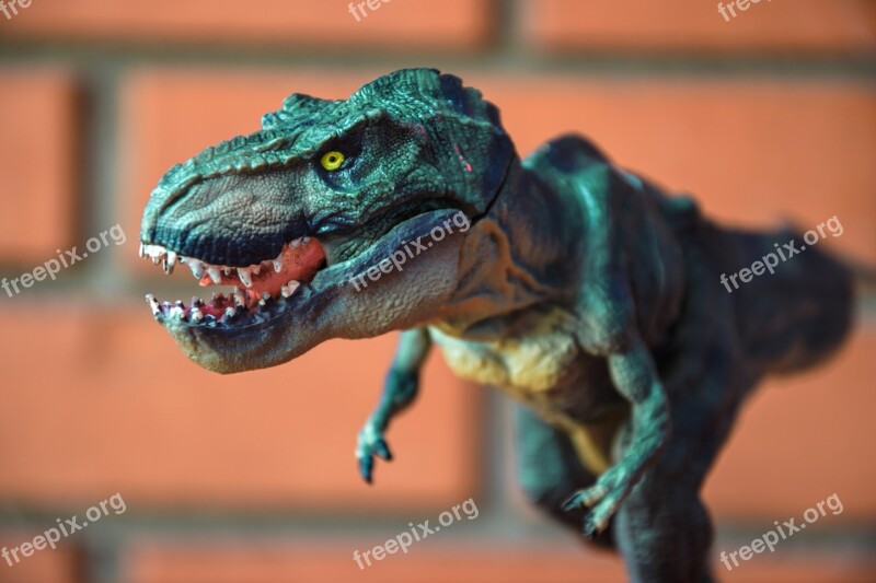 Toys Kids Toys Tyrannosaurus Dinosaur T-rex