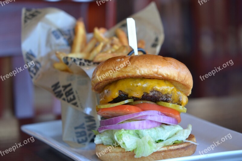 Hamburgers Food Fast Gourmet Cheeseburger