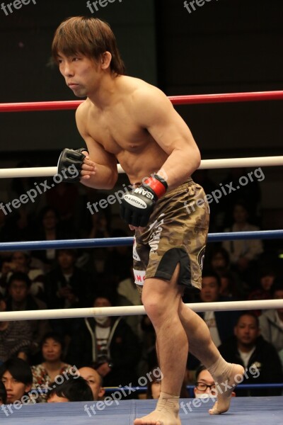 Mma Mixed Martial Arts Shooto Japan Maza Fight