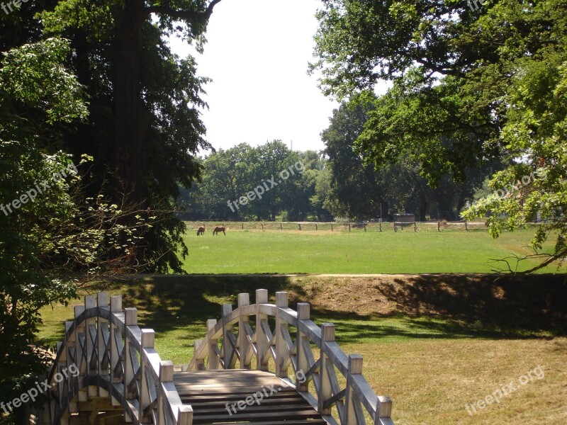 Dessau Germany Wörlitz Deutschland Landscape