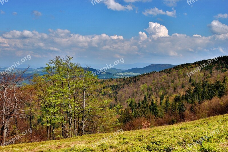 Landscape Beskids Mountains View Tree