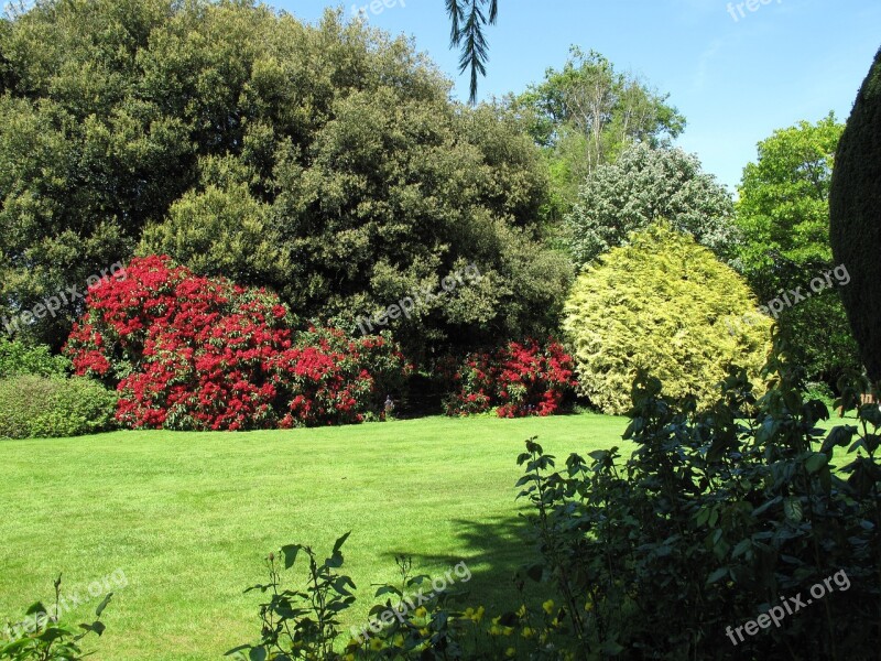 Garden Nature Summer Park Grass