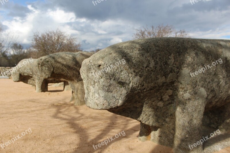 Bulls Bulls Of Guisando Prehistoric Statues Guisando