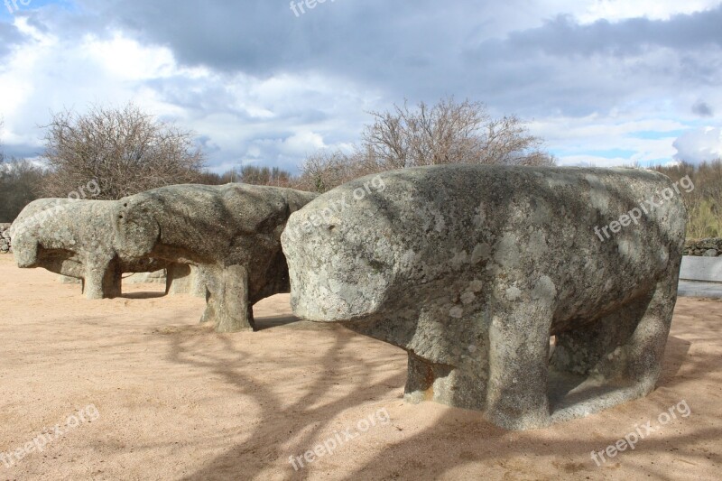 Guillando Bulls Of Guisando Ancient Stones Ancient Sculpture Stone