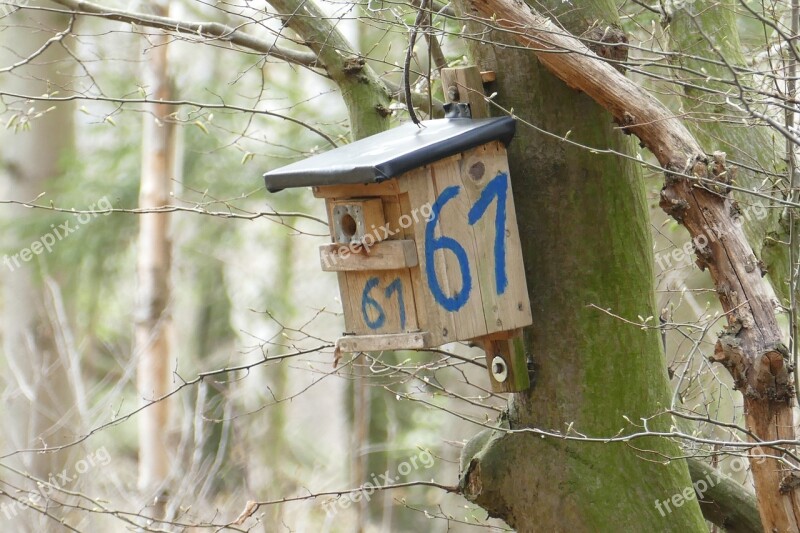 Nesting Box Forest Tree Free Photos