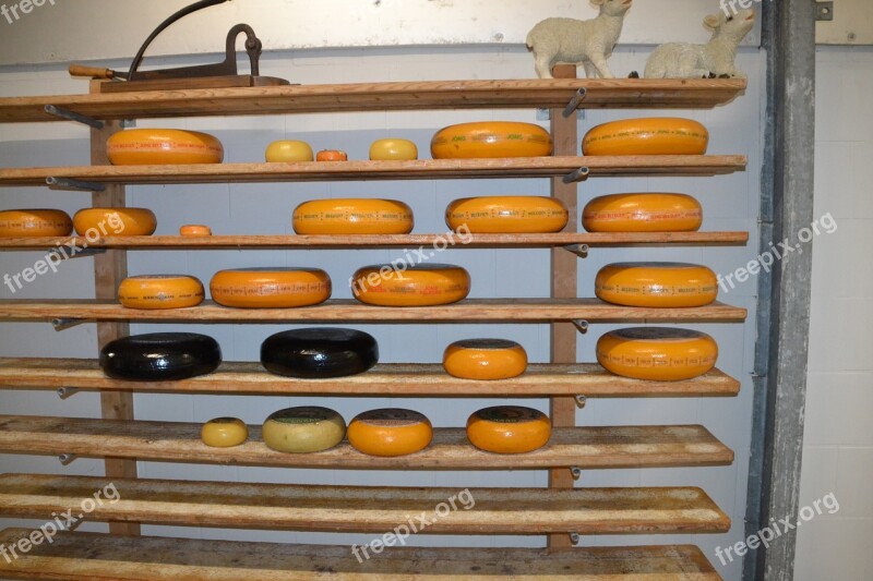 Cheese Shelf Mature Stock Food