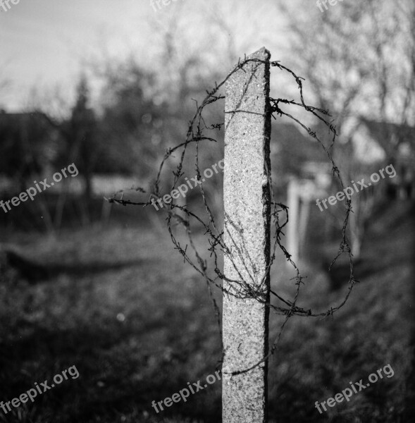 Barbed Wire Concrete Black And White Blurry Background Light