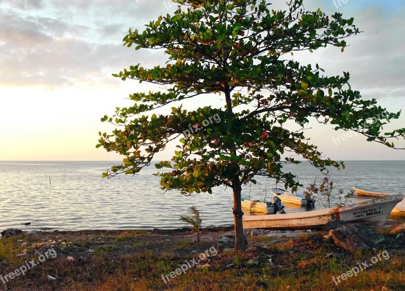 Mexico Logwood Seaside Strike Gulf Of Mexico