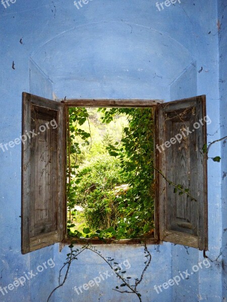 Window Sill Abandoned Ruin Ivy