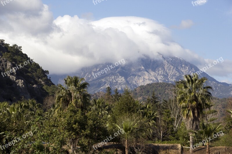 Cloudy Mountains Tree Forest Jungle Cloudy