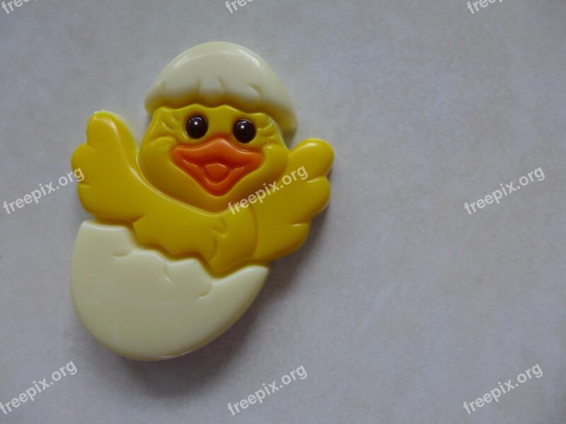 Easter Chicks Egg Cute Sweet