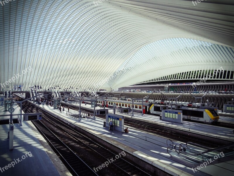 Cork Guillemins Station Architecture Futuristic