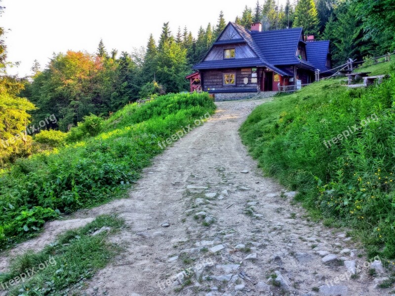 Hall Krupowa Youth Mountains Beskids Hiking Trail