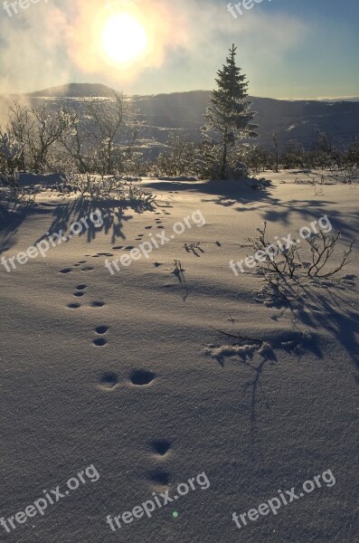 Sweden Fells Jämtland Winter Snow