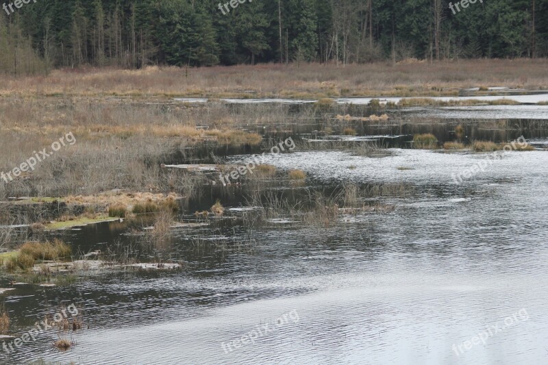 Lagoon Nature Slough Water Vancouver