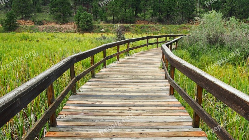 Wooden Walkway Wooden Bridge Bridge Walkway Outdoors