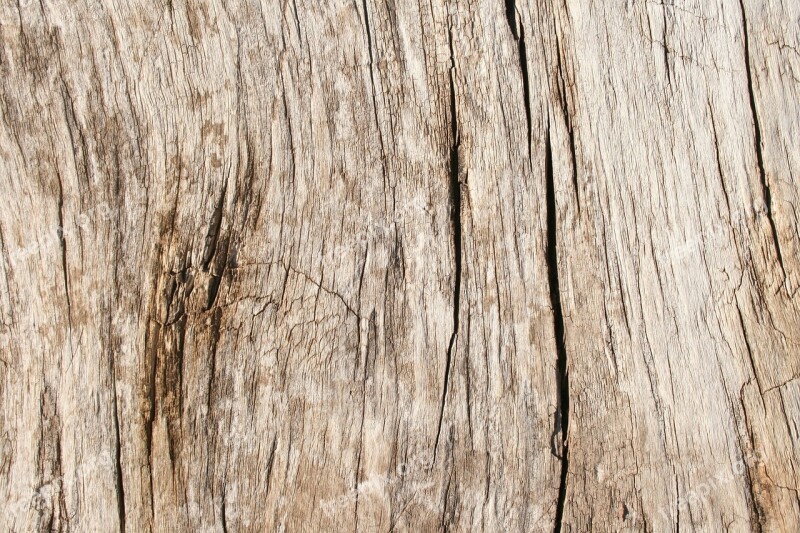 Wood Grain Texture Panel Timber