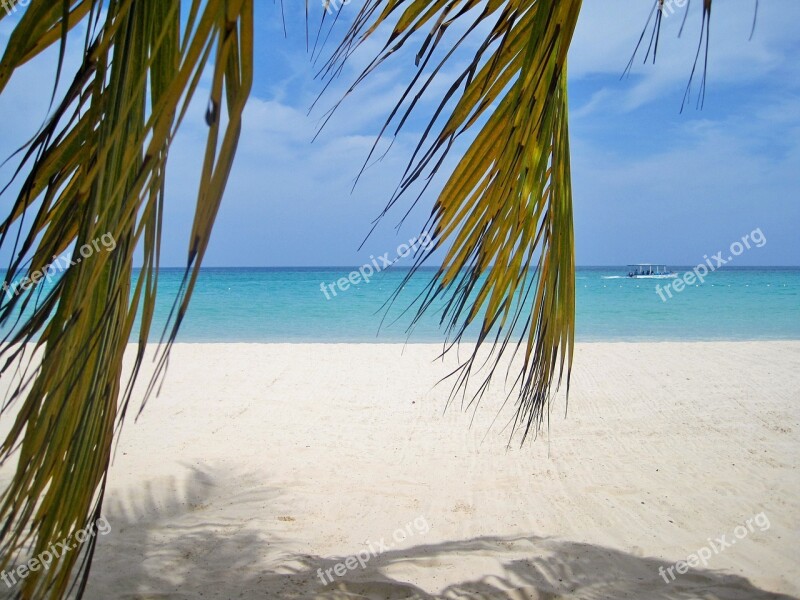 Jamaica Palm Trees Beach Typical Jamaican Paradise