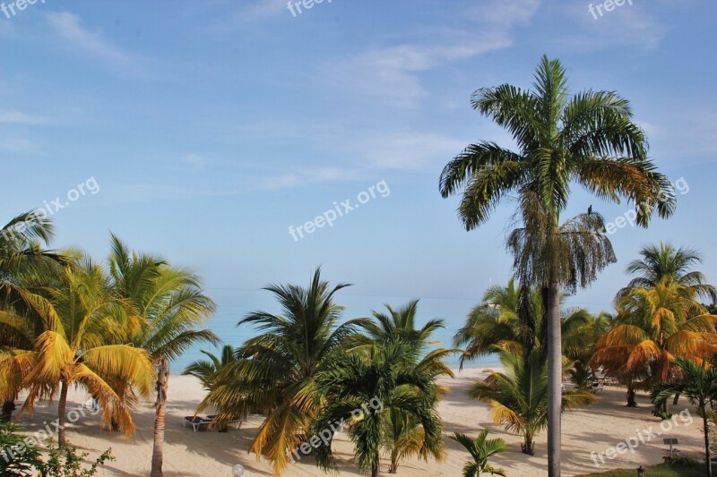 Jamaica Palm Trees Beach Typical Jamaican Paradise