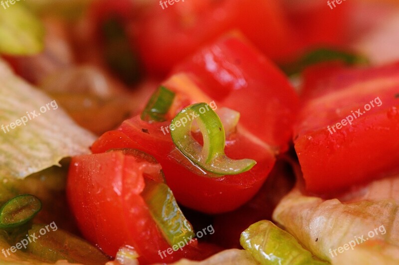 Salad Tomatoes Spring Onions Food Healthy