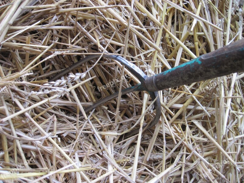 Hay Fork Straw Crap Faceplate Work