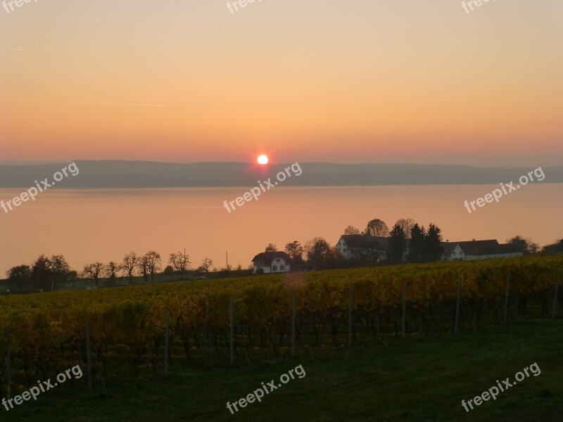 Birnau Afterglow Sunset Lake Constance Vines